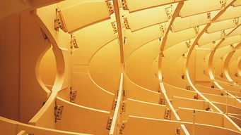 开云体育登录入口-校园体育文化建设实践成效及发展路径分析,校园体育文化建设范畴包括