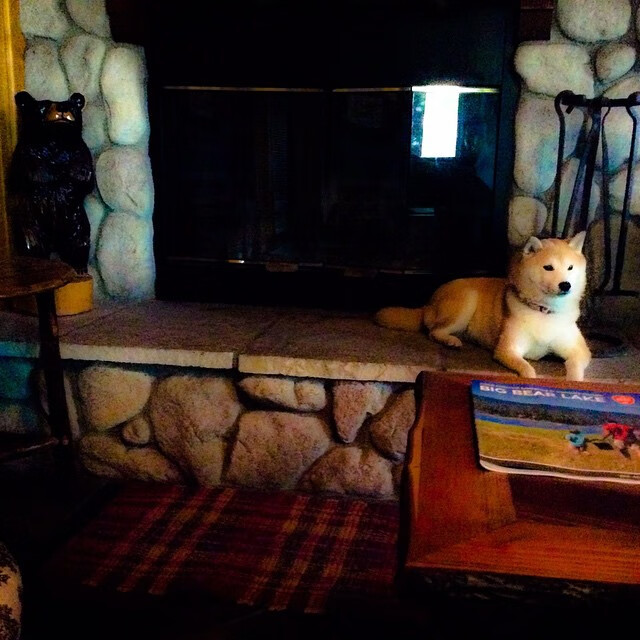 开云体育官网登入-篮球运动员专项体能训练恢复技术的科学研究与应用,篮球体能恢复训练教案