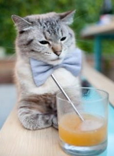 开云体育官网上-英超球员赛后恢复曲线数据驱动个性化训练方案设计