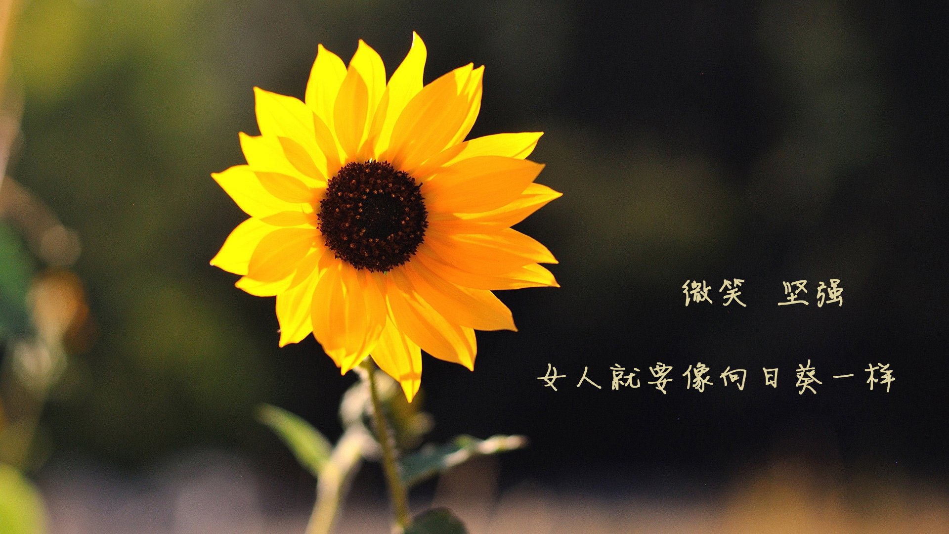 开运体育电脑版-CSGO退役传奇转战CS2引发怀旧潮,csgo退役地图