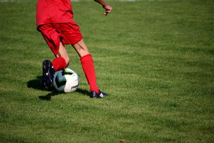 开云app-内线球员在快节奏体系下的功能性演变，内线球员的主要作用