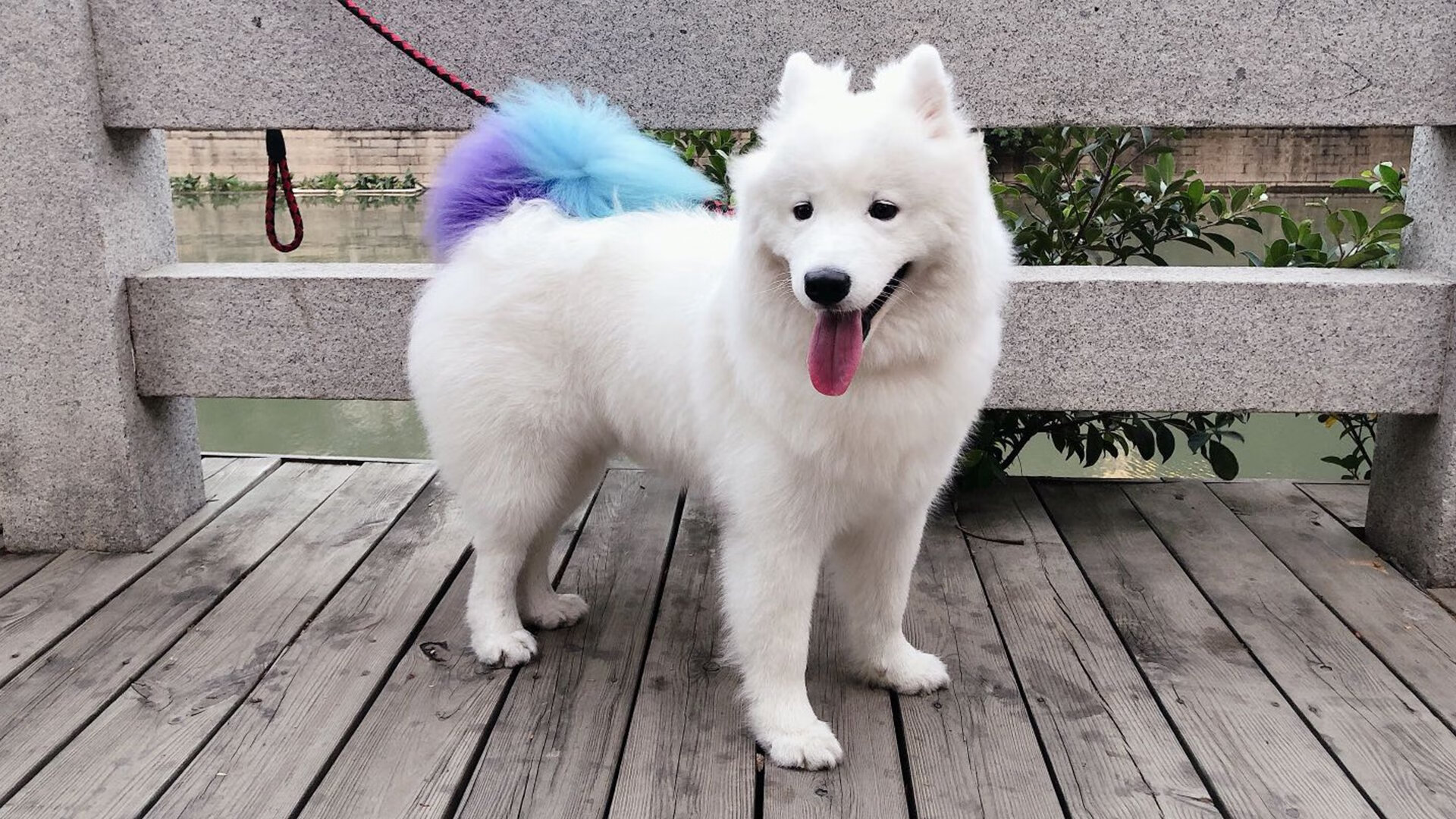 开云体育官网上-印度乒乓赛制解析:从国内到国际的战略布局,印度乒乓球名将