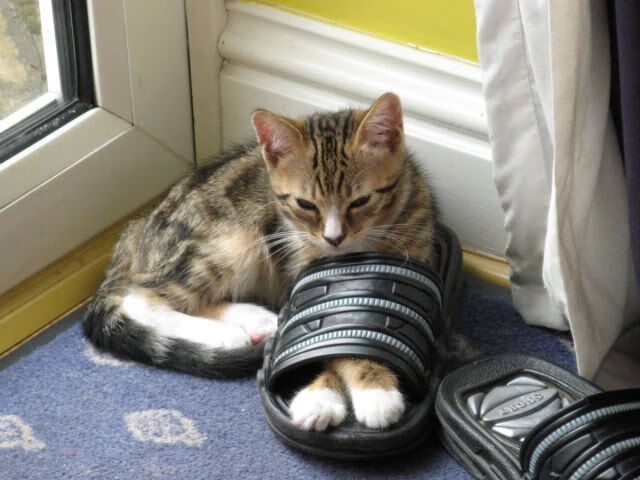 开云体育官网在线-后腰横移覆盖范围是否成为新一代战术核心评判，腰部后倾