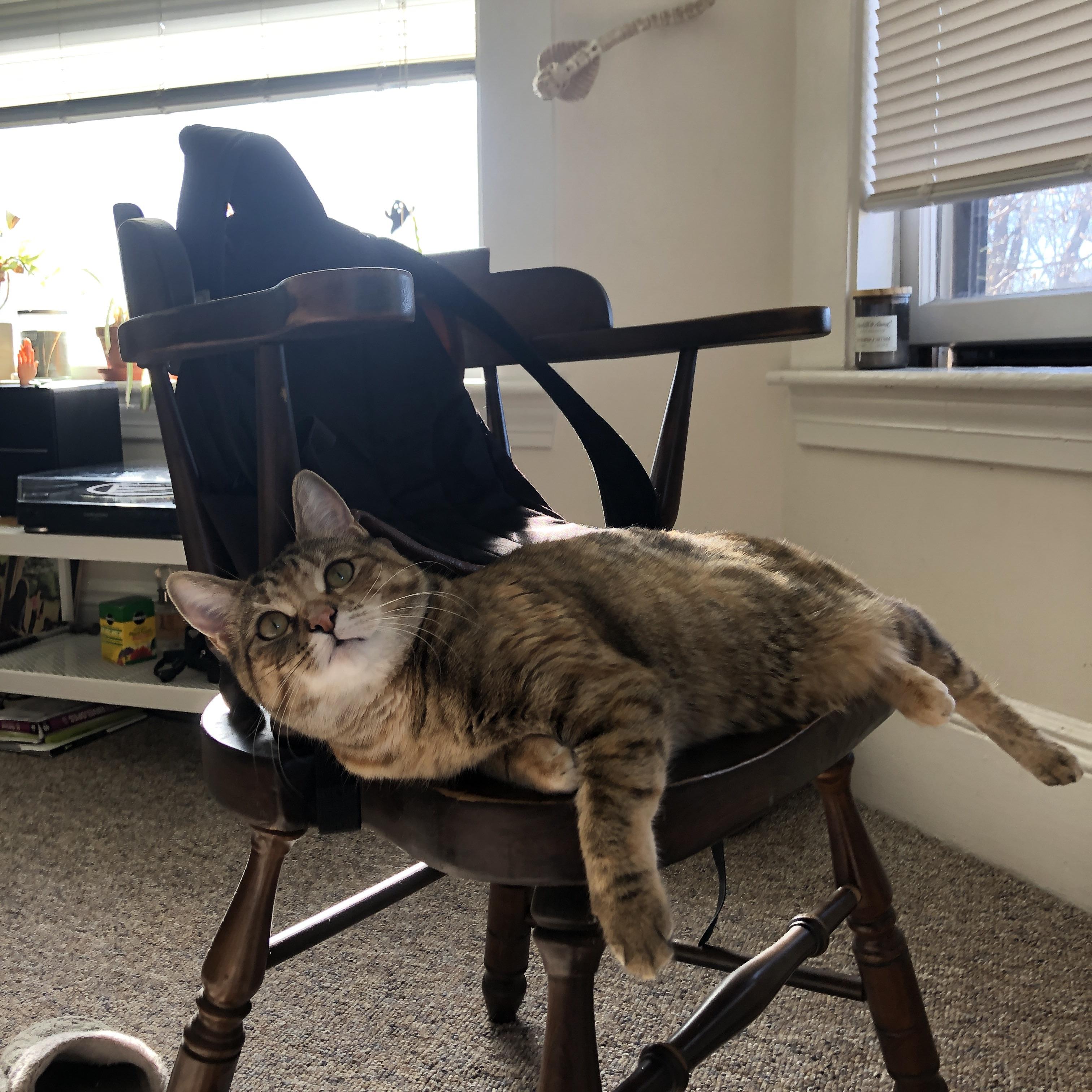 开云体育app注册-尤文世界杯之旅结束于最后一踢张弛有度主场,尤文经典比赛