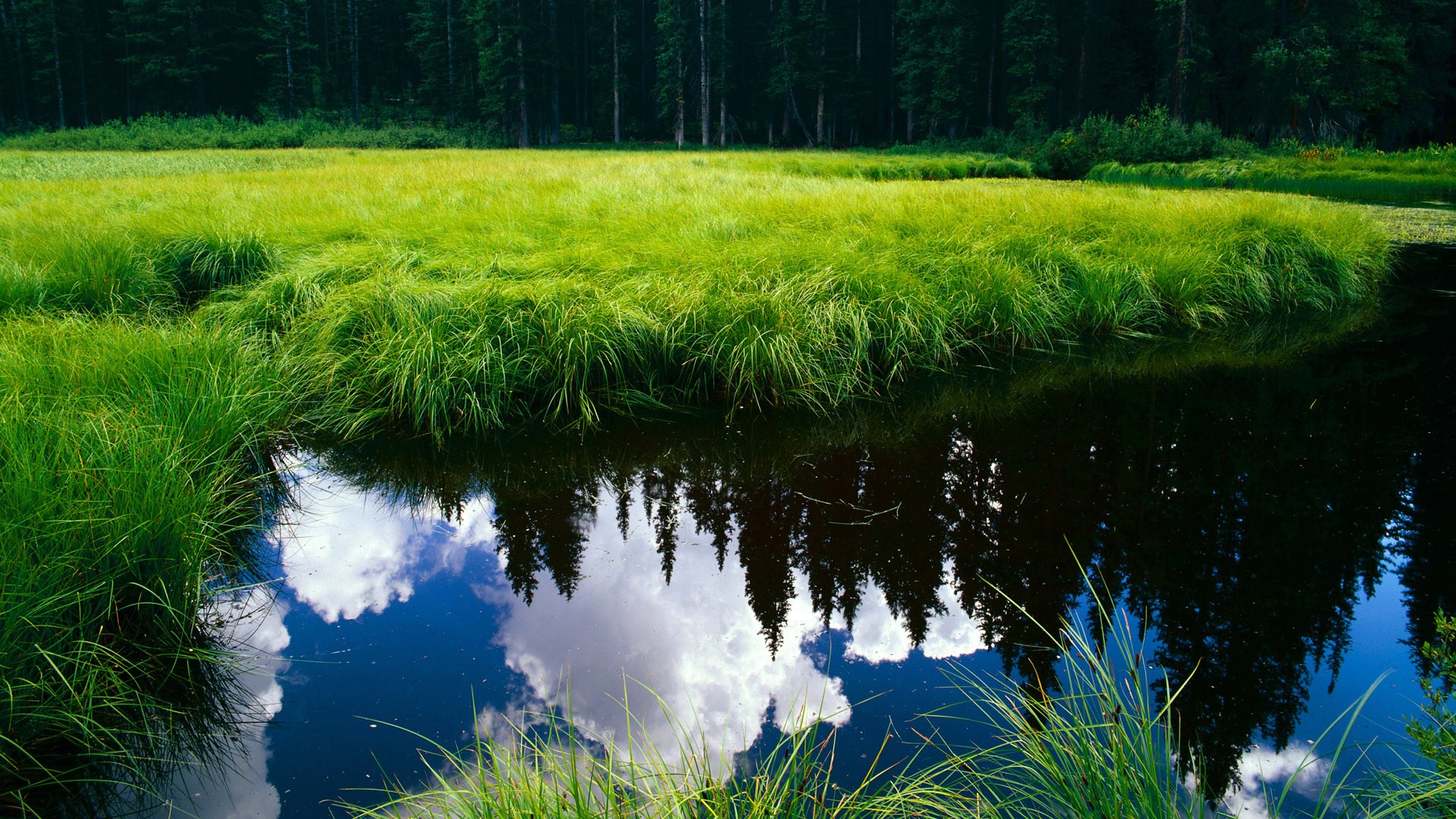 开云体育官网在线-德国队在国际乒联混合团体世界杯中的未来定位与目标,德国队乒乓球团体赛