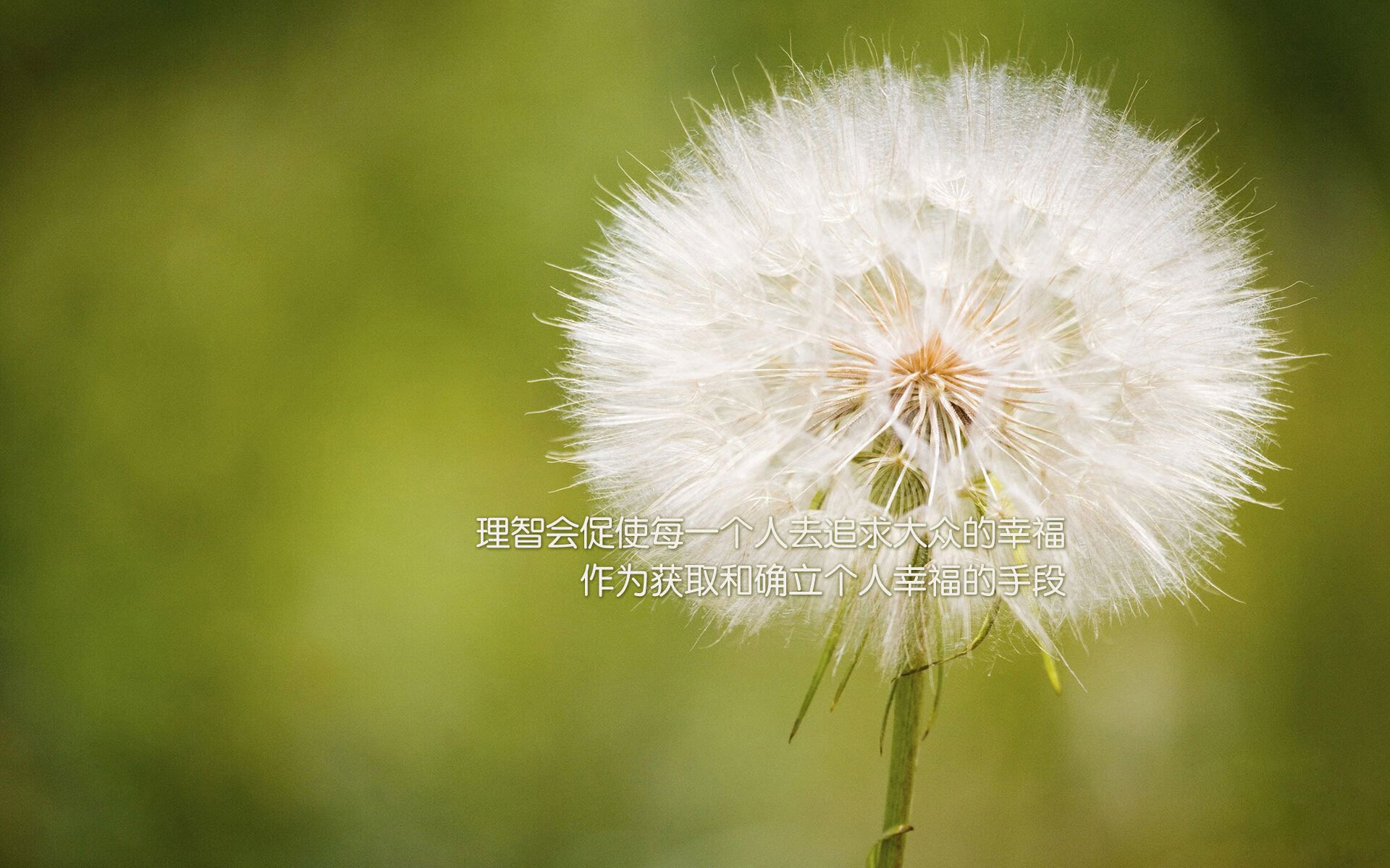 开云官网-球队在阿拉伯锦标赛中提升信心与打法实战经验,阿拉伯篮球锦标赛