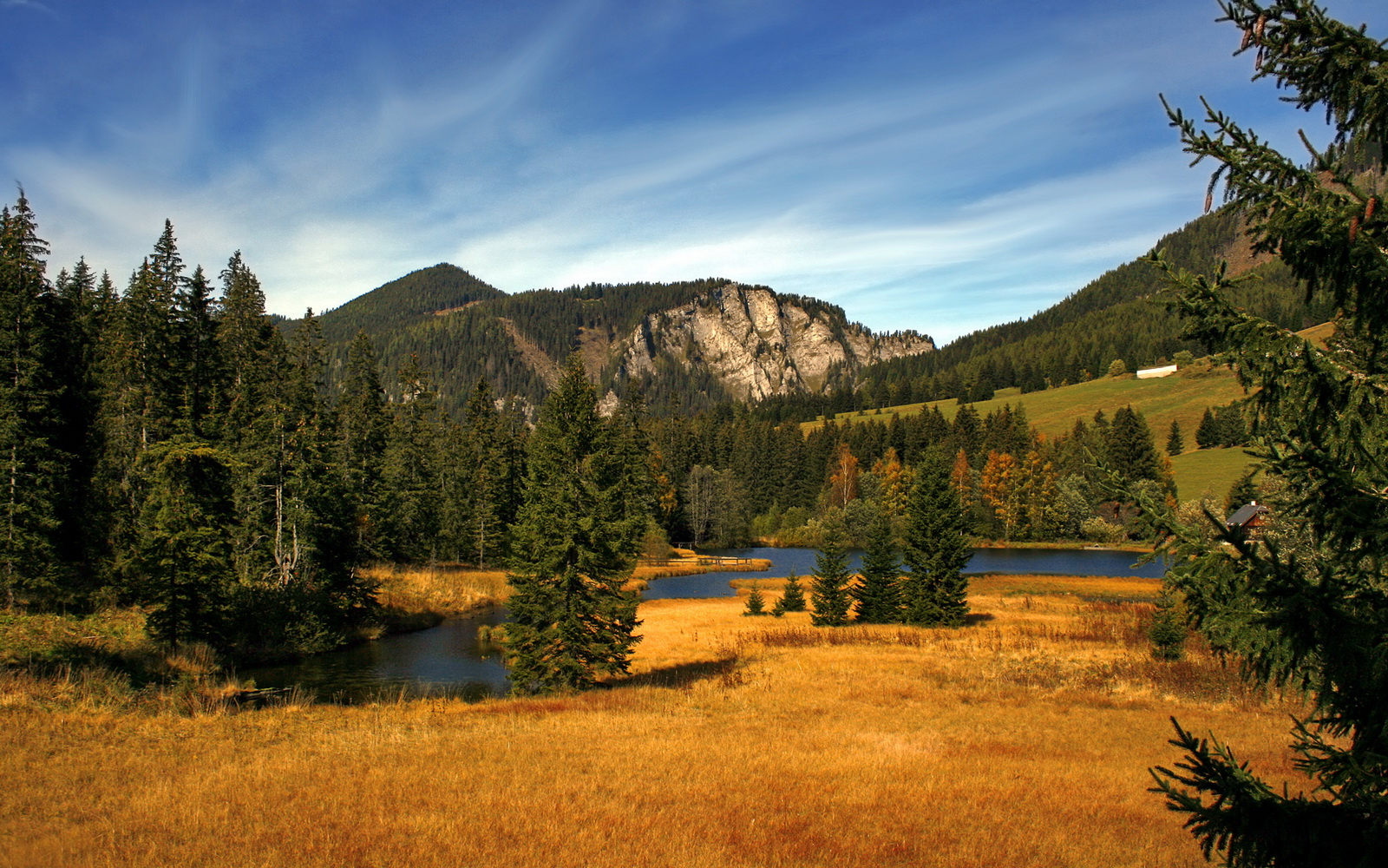 开云体育娱乐-高节奏防守中如何保持对位准确率,如何防守节奏好速度快的人
