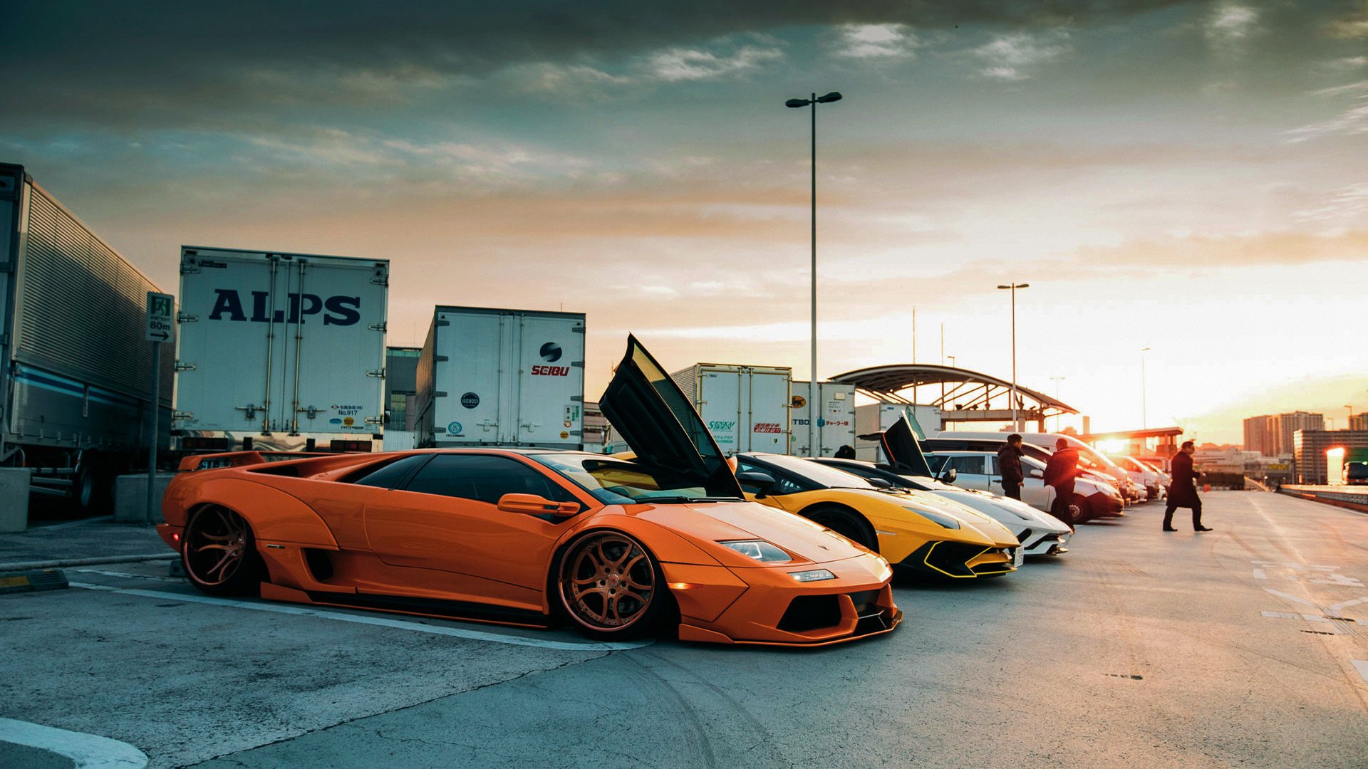 开云体育网址-中长距离自由泳表现稳健,长距离自由泳技巧