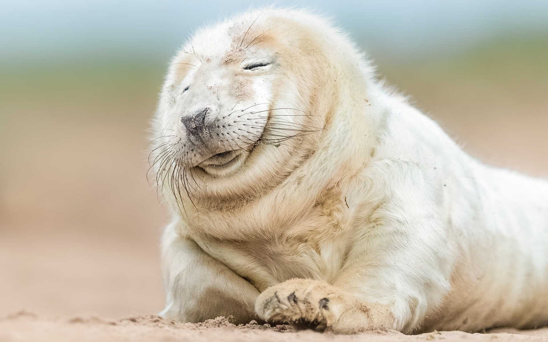 开云体育平台-体育新闻中心运动医学专题,体育类新闻报道