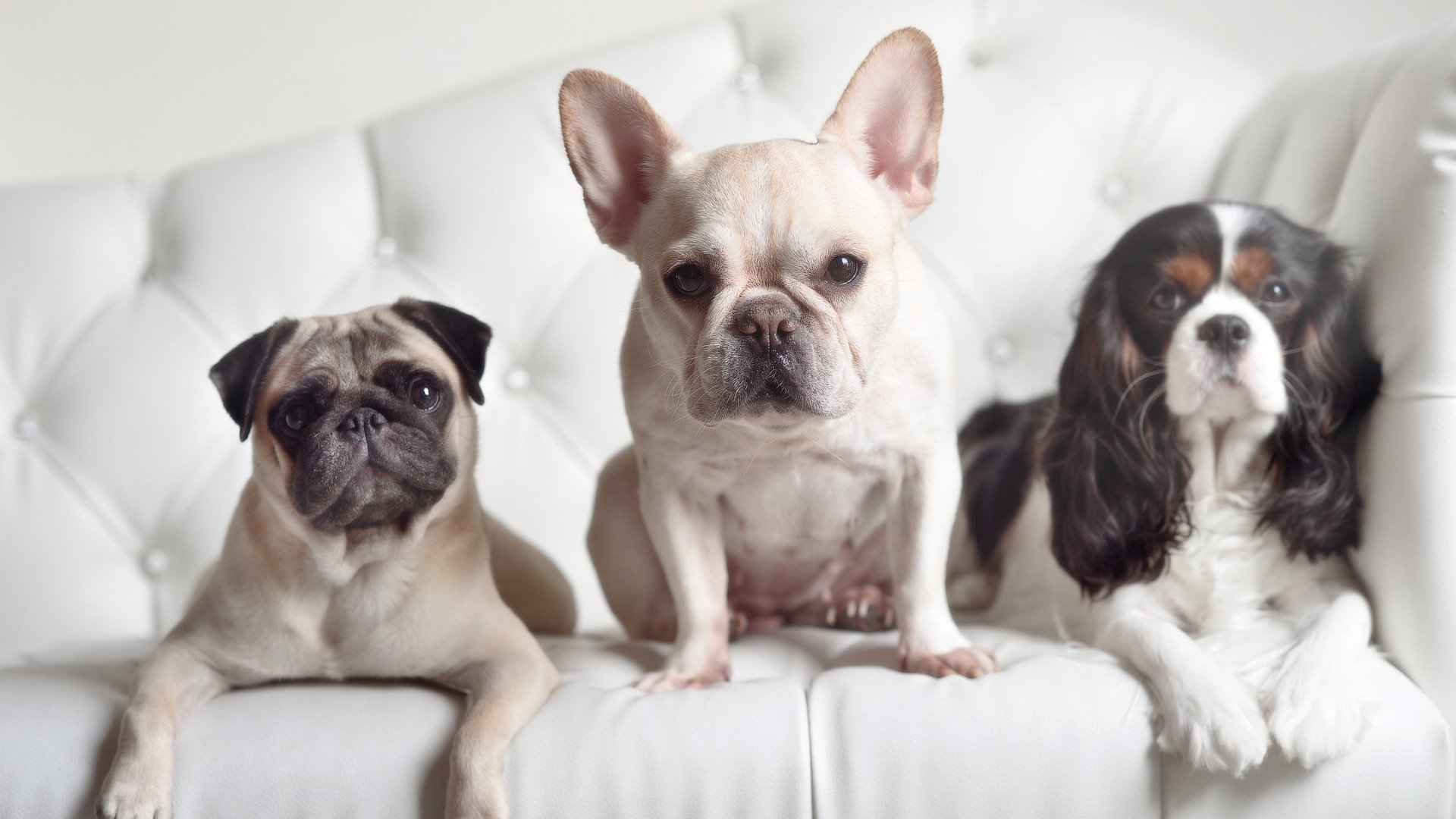 开云ky官网-国家青少年训练营夏令营官方报名通道即将开放,2021全国青少年夏令营