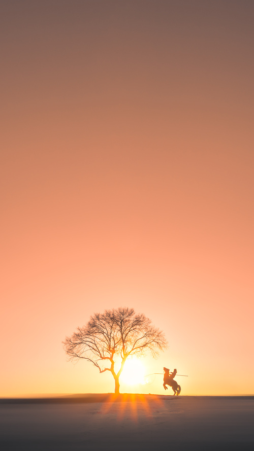 开云体育在线官网-法甲媒体对转会市场的报道趋势,法甲转会截止日期