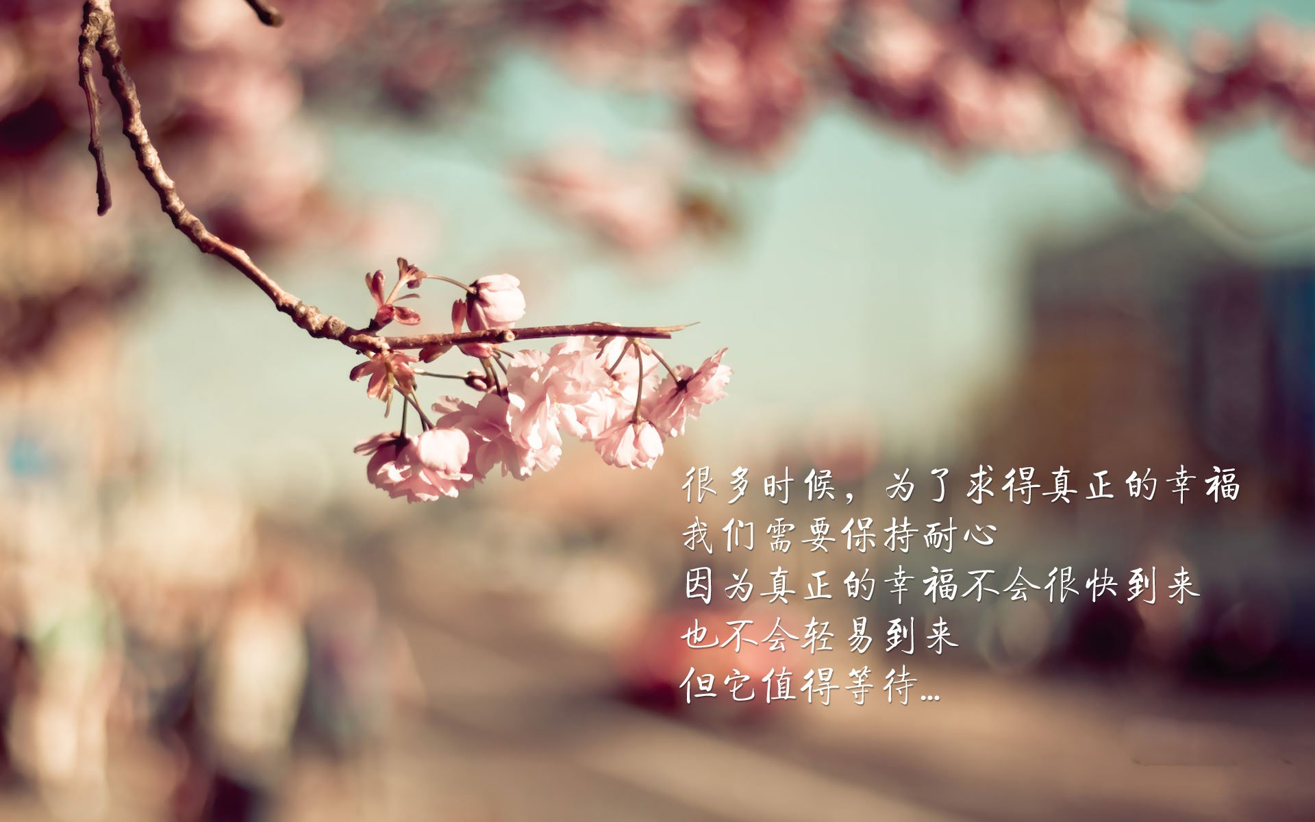 开云体育足球-英超最后冲刺：悬念激烈，冠军花落谁家？，英超最后几名降级